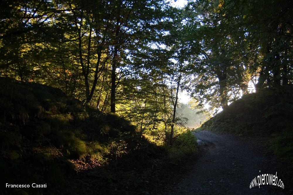001 L'alba verso il rifugio Porta.jpg